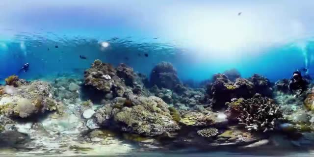 测试视频