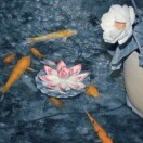 新凯旋